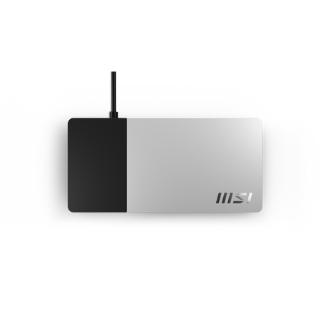msi usb c docking station gen2