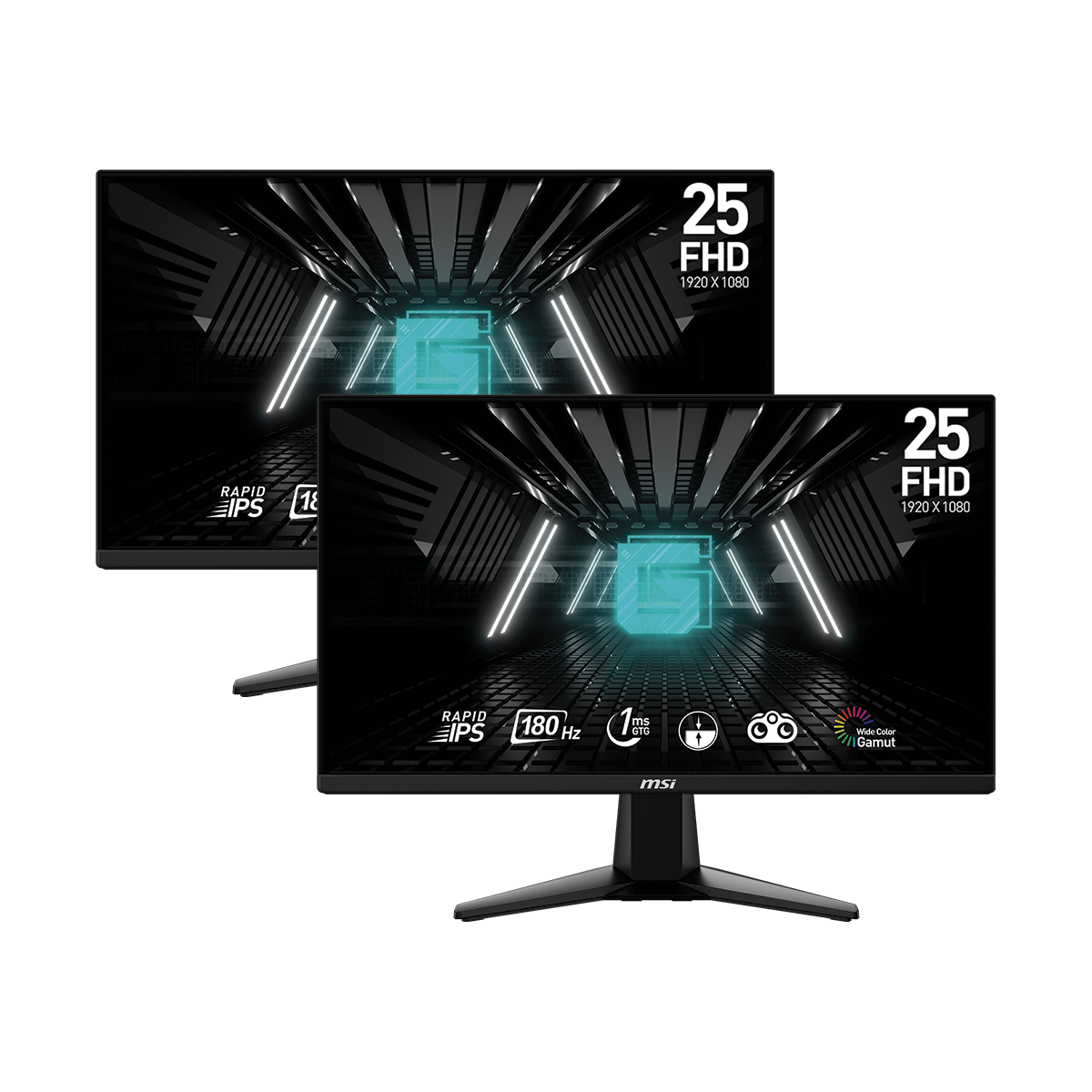 Pack 2 Monitores Gaming MSI G255F