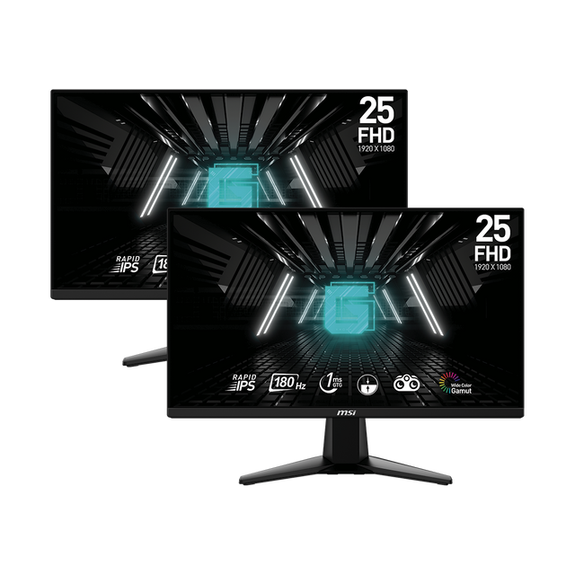 Pack 2 Monitores Gaming MSI G255F