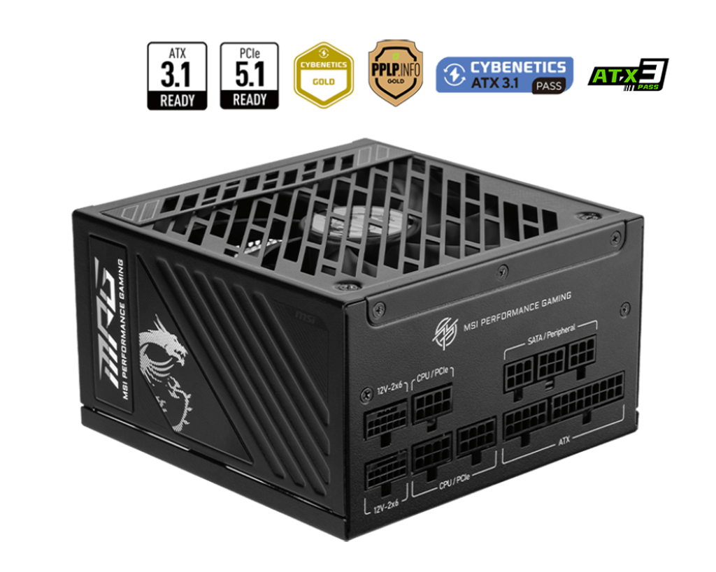 MSI MPG A1250GS PCIE5 80 Plus Gold (Bundle)