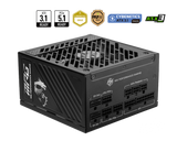 MSI MPG A1250GS PCIE5 80 Plus Gold (Bundle)