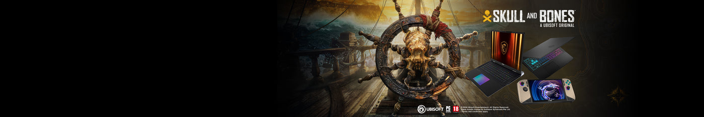 Banner Skull and Bones DT