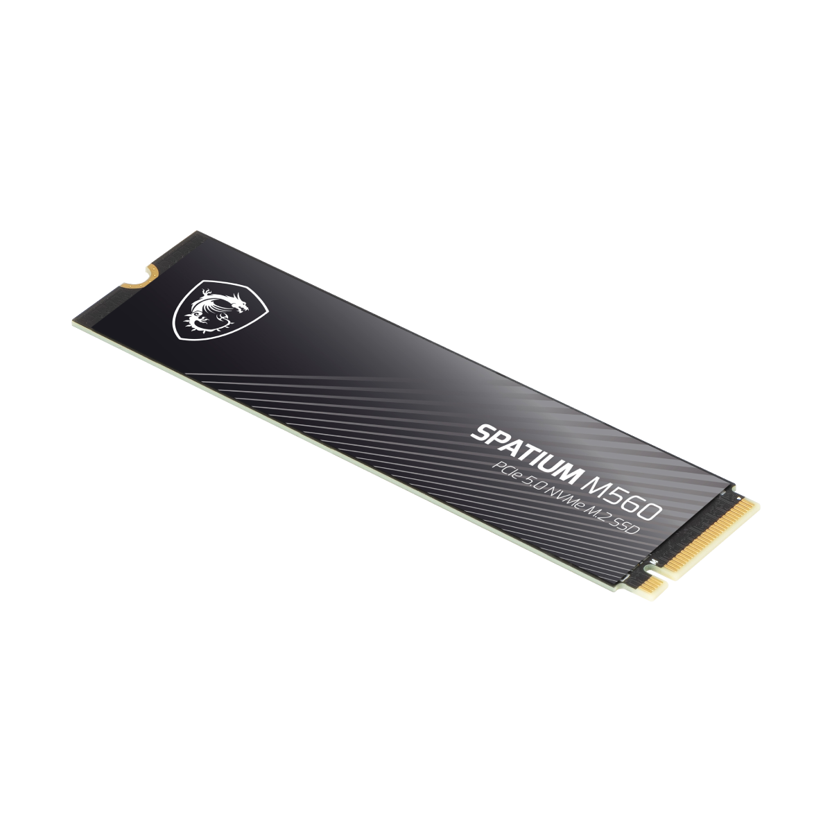 memoria ssd 1tb spatium m560