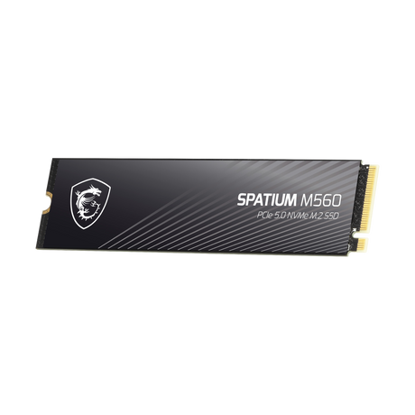 memoria ssd 1tb spatium m560