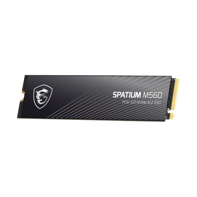 memoria ssd 2tb spatium m560