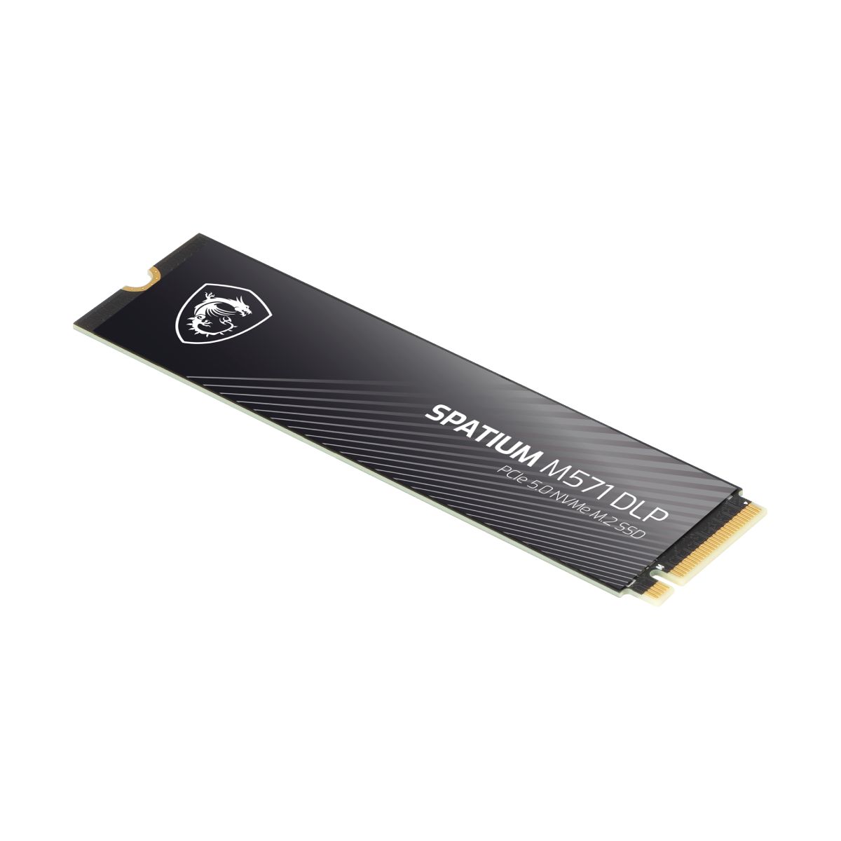 Memoria SSD de MSI Spatium M571 DLP PCIe 5.0 NVMe M.2 4TB