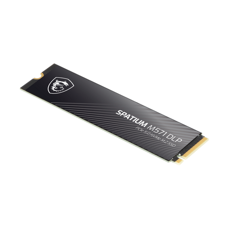 Memoria SSD de MSI Spatium M571 DLP PCIe 5.0 NVMe M.2 4TB