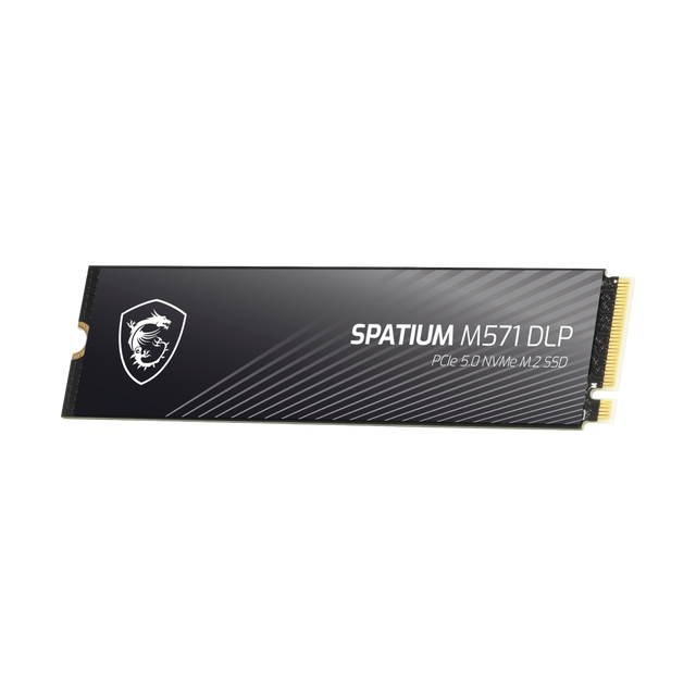Memoria SSD de MSI Spatium M571 DLP PCIe 5.0 NVMe M.2 4TB