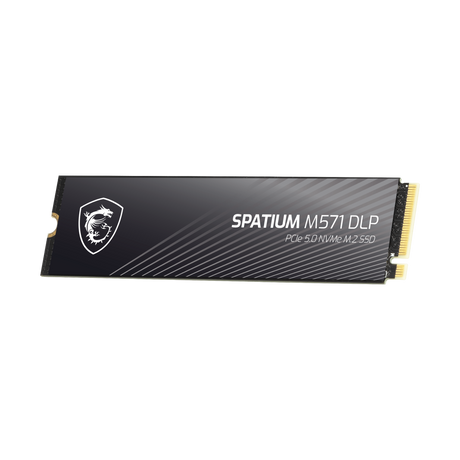 Memoria SSD de MSI Spatium M571 DLP PCIe 5.0 NVMe M.2 4TB
