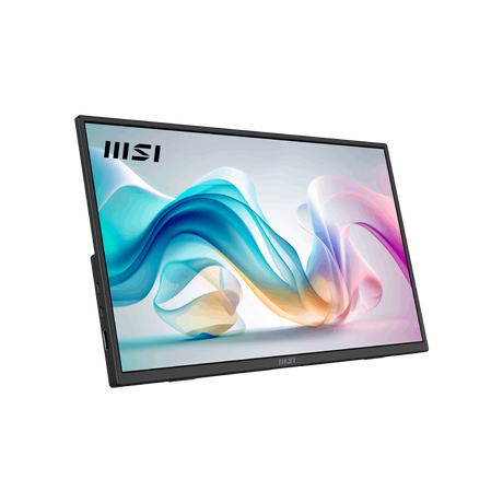 Monitor portatil de MSI PRO MP165 E6 de 15,6